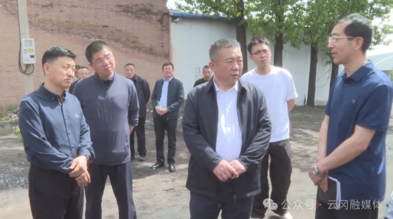 刘利新调研全区生态环境治理工作